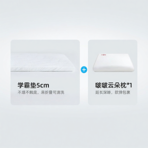 Memory Foam Student Mattress