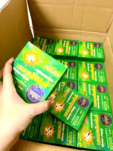 HCM- Nhang Muỗi Khoanh CPDM Thái Lan Một Hộp 10 Khoanh