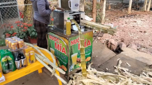 Máy ép mía inox