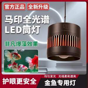 Đèn Rọi MAYIN Cho Huyết Long - Đèn Rọi Cho Cá Vàng Công Suất 60w 100w