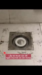 Lõi Thoát sàn Nhựa Trắng Thoát Nước Một Chiều Ngăn Mùi Hôi Hiệu Quả