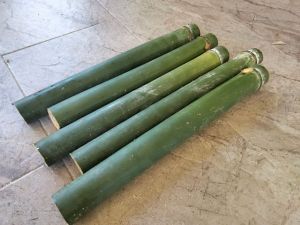buluh lemang segar dari ladang 5 pcs.