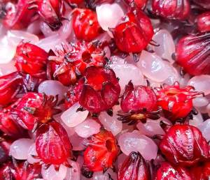 Hạt Đác Rim Hoa Atiso Đỏ - Hủ 500g - Đặc Sản Bến Tre