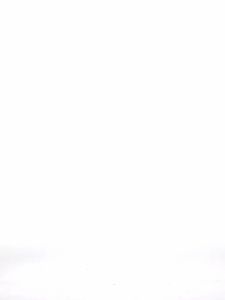 1JINN STUDIO | Fake Two-piece Asymmetric Structure Shiny Lace Adjustable Straps Slim-fit Basic T