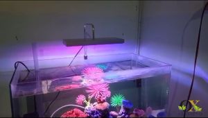 lampu led aquarium aquascape satu stand tiang fullset