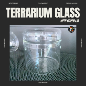 Glass terrarium jar with lid - 12cm/15cm sizes for isopods moss and terrarium