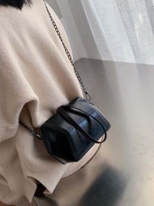 Fashionable Mini Chain Shoulder Bag Womens Stylish Crossbody Bag New 2024 Trendy Bag Popular Internet Celebrity Bag