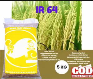 BENIH/BIBIT PADI IR 64 UNGGUL GENJAH KEMASAN 5KG