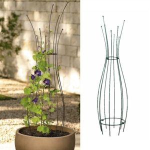 Garden Iron Art Plant Climbing Blue Snow Mountain Turtle Rose Iron Wire Lotus Frame Climbing Vine Frame Support Rod Balcony