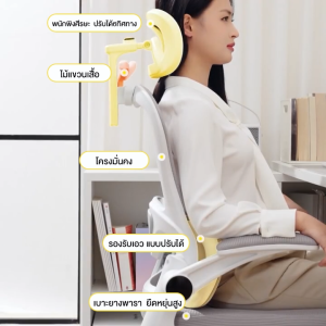 TDB เก้าอี้ตามหลักสรีรศาสตร์ เก้าอี้คอมพิวเตอร์ เก้าอี้นั่งทำงานที่บ้าน เก้าอี้สำนักงาน เก้าอี้หอพัก เก้าอี้เล่นเกม เก้าอี้นั่งทำงานสบาย