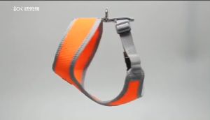 Adjustable Comfortable Dog Harness for Small and Medium Breeds | Truelove