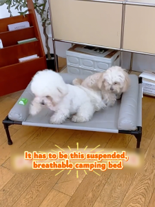 Dog Bed Elevated Mesh Pet Cot for Small Medium Dogs All Season Breathable Summer Off Ground Crate Bed Moisture Resistant Washable