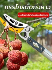 กรรไกรตัดกิ่ง กรรไกรตัดกิ่งไม้ด้ามยาว กรรไกรตัดต้นไม้ ปรับความยาวได้ 1.8M~4M คมมาก ตัดง่าย เบาแรง กรรไกรตัดกิ่งไม้ กรรไกรตัดกิ่งด้ามยาว กรรไกรตัดกิ่งไม้สูง SK5