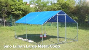 Papapet Outdoor Chicken Breeding Shed Chicken Coop Heavy Duty Galvanized Coop for Secure Weatherproof duck cage sturdy and stable extra large space