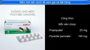 Sản phẩm xổ (tẩy) sán dây sán lá giun tròn cho chó mèo - SanPet