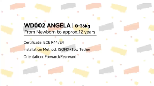 Jovikids Angela Isofix with Top Tether 360 Degree Swivel Isofix Car Seat Ece R44