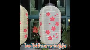 ZEO Japanese Style Lantern Restaurant Lantern Waterproof Festival Lanterns light for Party Bar Pub Restaurant decoration