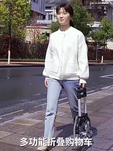 XUANXISHI | Multifunctional Portable Stair Climbing Cart
