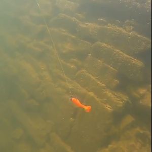 Umpan Soft Lure Karimun Markiman 5.5cm 7cm Paddle Tail Umpan Casting Bahan Karet Kenyal Softlure Umpan Pancing Ikan Soft Bait