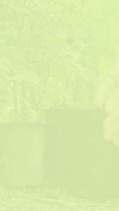 Serbajadi Organic Seed Starter Soil | Organic Soil | Germinating Seed Soil Tanah Semaian Biji Benih 5L