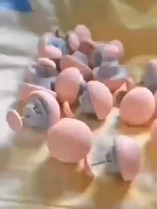 ที่ใส่ผ้านวมรูปเห็ดสีชมพูด้ามจับที่ถอดออกได้ที่วางฝาครอบผ้าห่มผ้าฝ้ายผ้าปูที่นอน12ชิ้น