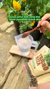 INFARM -  Trichoderma Organik Serbuk Pengendali Jamur Cegah Busuk Akar Penguat Akar dan Bakteri Trichoderma Fungisida Serbuk Anti Layu dan Busuk Tanaman Serbuk Akar Kuat Anti Busuk