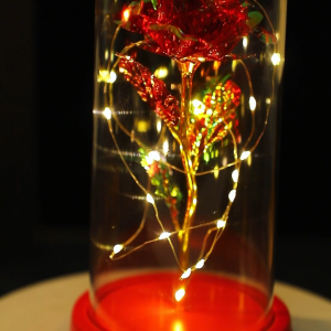 ECOL Enchanted Rotating Rose in Crystal Dome - Musical LED Night Light with Piano Melodies Battery Power