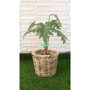 Pohon Artificial Tanaman Hias Daun Jari Philo X7 Latex Cover Pot Anyaman Rotan Dekorasi Studio Aesthetic