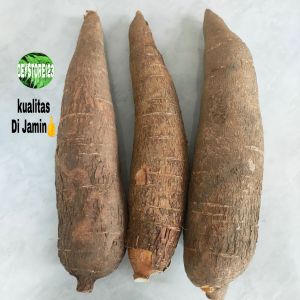 Singkong Racun sapi kuru atow singkong kerikil per 1 kg