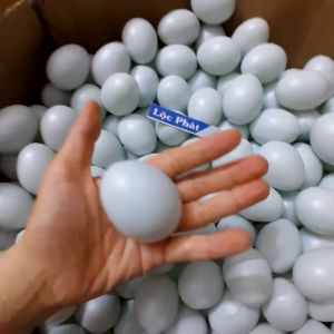 Combo 20 trứng nhựa màu xanh có nước bên trong dùng cho vịt chim săn mồi trứng nhựa xanh CB20TRV-XANH