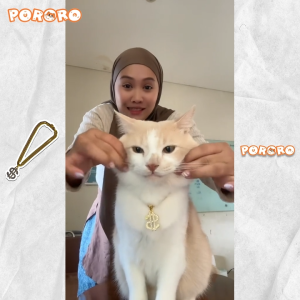 Kalung Kucing Dolar Emas Pororo Aksesoris Pets