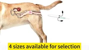 Canine Artificial Insemination Device  Dog Semen Injection Sperm Injector Mating Breeding Kit Supplies