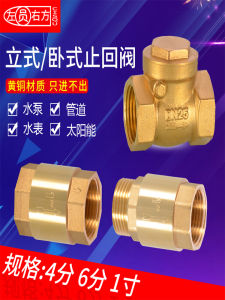 4/6 Minute 1-Inch Vertical Horizontal Brass Check Valve Check Valve Check Valve Internal Thread Water Stop Valve Tap Water Pipe Accessories