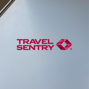 Travel Sentry Foldable Backpack Grey