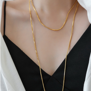 Long Luxury Snake Bone Necklace for Women Non-Fading Titanium Steel Geometric Pattern Fresh out Fashion Jewelry Accessory