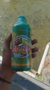 (TERLARIS) BIO NPK GAZA 500ML Pupuk pelebat buah kacang tanah - Pupuk pelebat kacang tanah - Obat pelebat buah kacang tanah - pupuk pelebat biji kacang tanah - obat perangsang kacang tanah - obat semprot booster buah kacang tanah terbaik