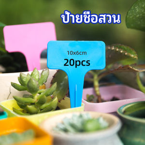 AIK ป้ายพลาสติก mini ป้ายชื่อแคคตัส ป้ายชื่อสวน ป้ายไม้ดอกไม้ garden label มีสินค้าพร้อมส่ง