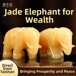 Feng Shui Lucky Pair Elephant Ornament
