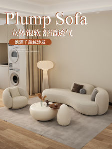 Sofa Fabric Cat Claw Design Casual Living Room High End Sensation Clothing Store Reception Arc New Model Wooden Structure Sponge Filling