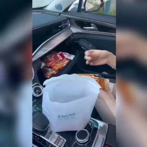 FUNSMILE : [ 10/20/40pcs] Waterproof Car Trash Bag Reusable Car Trash Bag Car Garbage Bag Vehicle Trash Bag