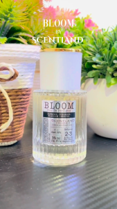 Parfum Aroma Bloom Segar Wangi Tahan Lama From Scentland