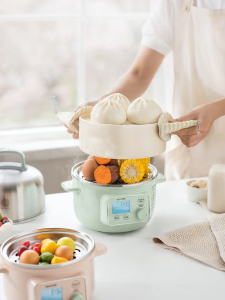 BUYDEEM | Household Multifunction Scheduled Electric Steamer Stainless Steel