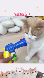 Mainan Pistol Bola Set Bulu Untuk Anabul Anjing Dan Kucing