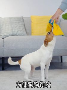 GiGwi Đồ chơi thú nhồi bông kêu chút chít sột soạt cho chó Suppa Puppa khăn vuông– Đen Ta pet shop