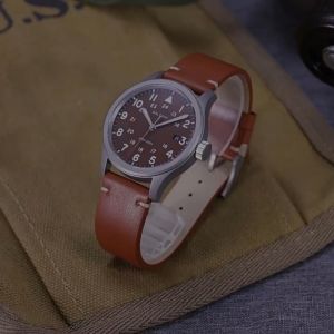 Baltany Field Watch: A Comprehensive Guide