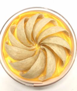 Red Sea Birds Nest Yan Zhan Sarang Burung Premium Bird Nest Gift