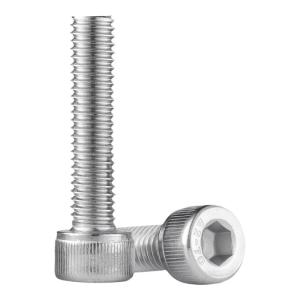 BAIRUITE | 304 Stainless Steel Reverse Thread Internal Hex Screw