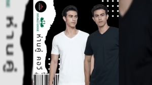 เสื้อยืดคอวี( V ) ตราห่านคู่ ระบายอากาศได้ดี สินค้าพร้อมส่ง