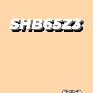 SEPATU BADMINTON YONEX SHB 65Z3 WIDE POWER CUSHION SEPATU OLAHRAGA BULUTANGKIS PRIA WANITA TERLARIS