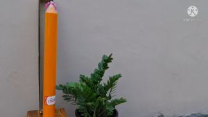 เทียนพรรษากลม ต้นเดี่ยว 9x90 ซม. เทียนเหลือง ถวายวัด เทียนไร้ควัน เทศกาล เข้าพรรษา ทําบุญ สังฆทาน เทียนพรรษา เทียนเดี่ยว เทียนใหญ่